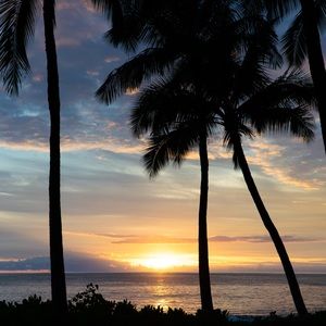 Meet your Posher, Alana